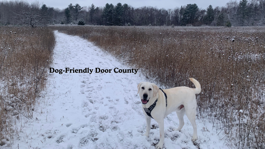 Dog-Friendly Door County